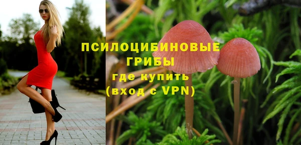 крисы Балахна